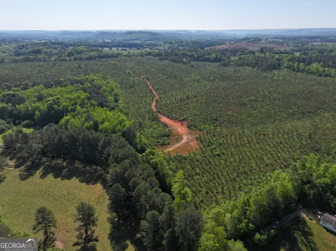 118 +/- Acres on Lumpkin RD