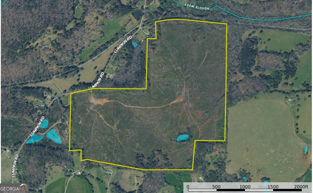 118 +/- Acres on Lumpkin RD Cedartown, GA 30125