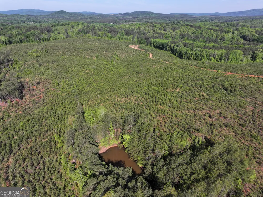 118 +/- Acres on Lumpkin RD Cedartown, GA 30125