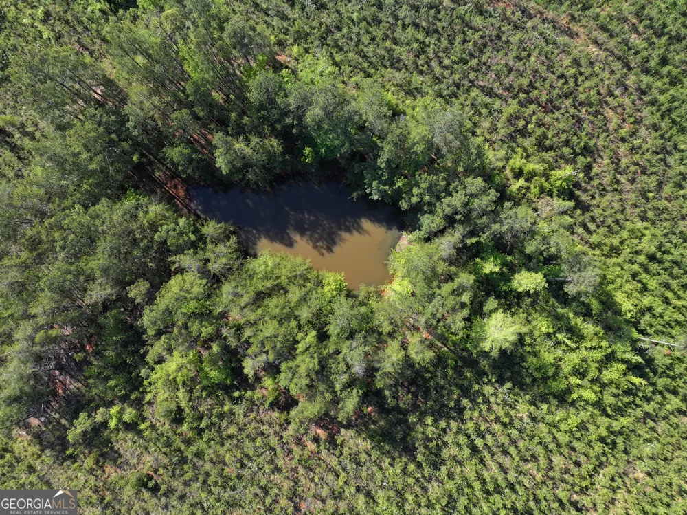 118 +/- Acres on Lumpkin RD Cedartown, GA 30125
