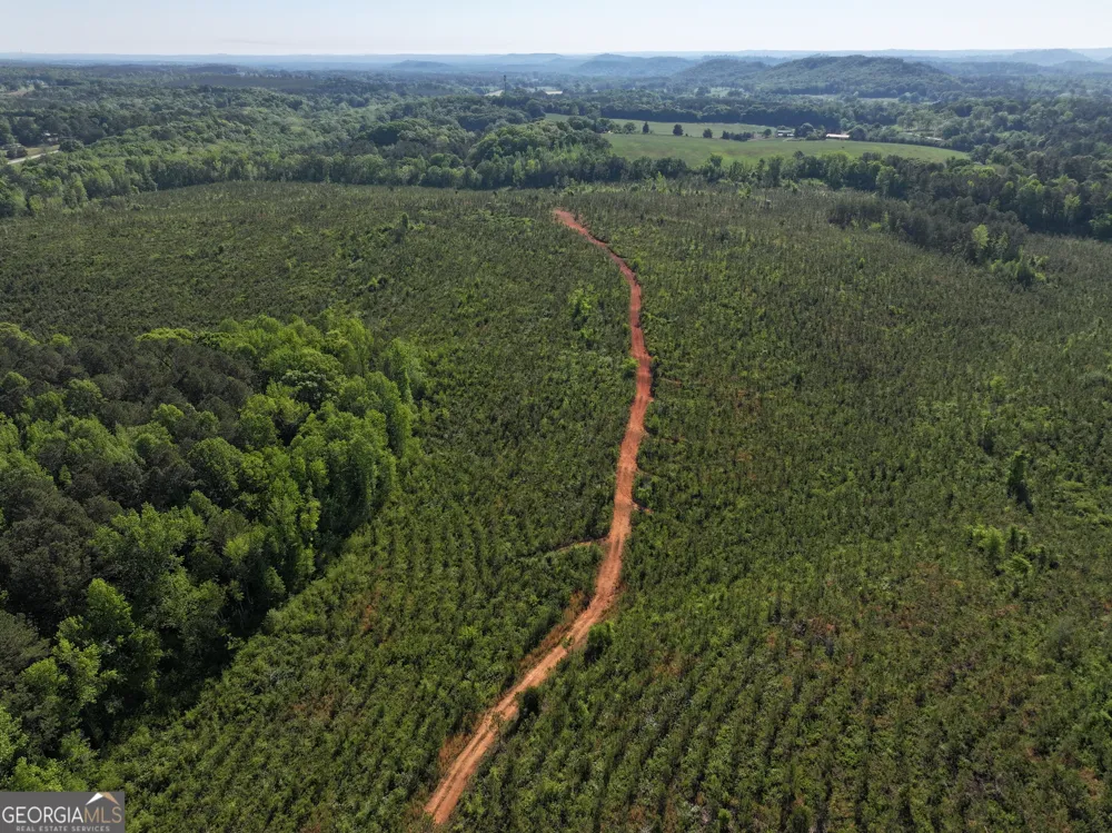 118 +/- Acres on Lumpkin RD Cedartown, GA 30125