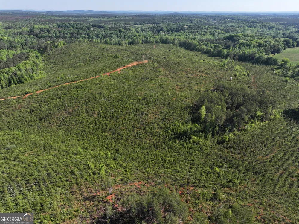 118 +/- Acres on Lumpkin RD Cedartown, GA 30125