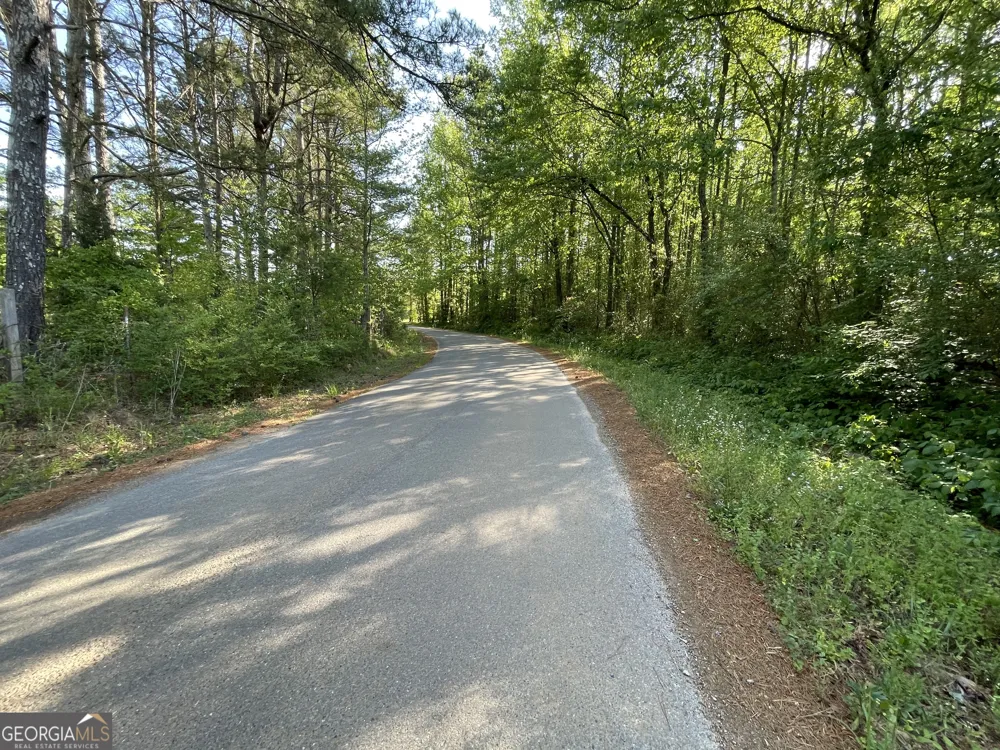 118 +/- Acres on Lumpkin RD Cedartown, GA 30125