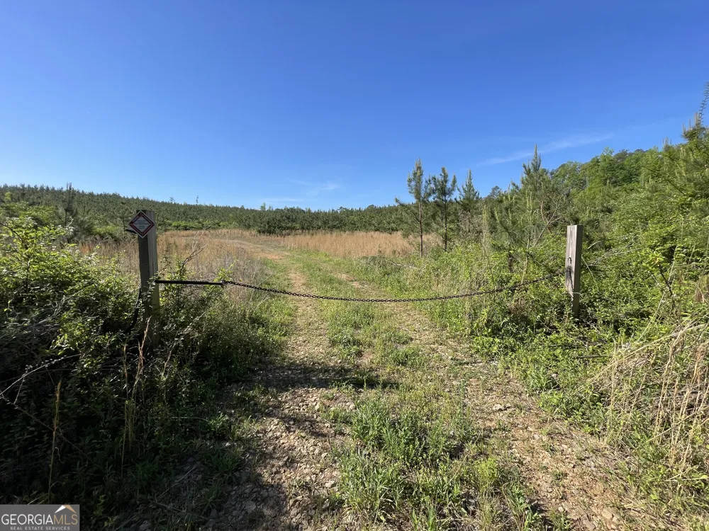 118 +/- Acres on Lumpkin RD Cedartown, GA 30125