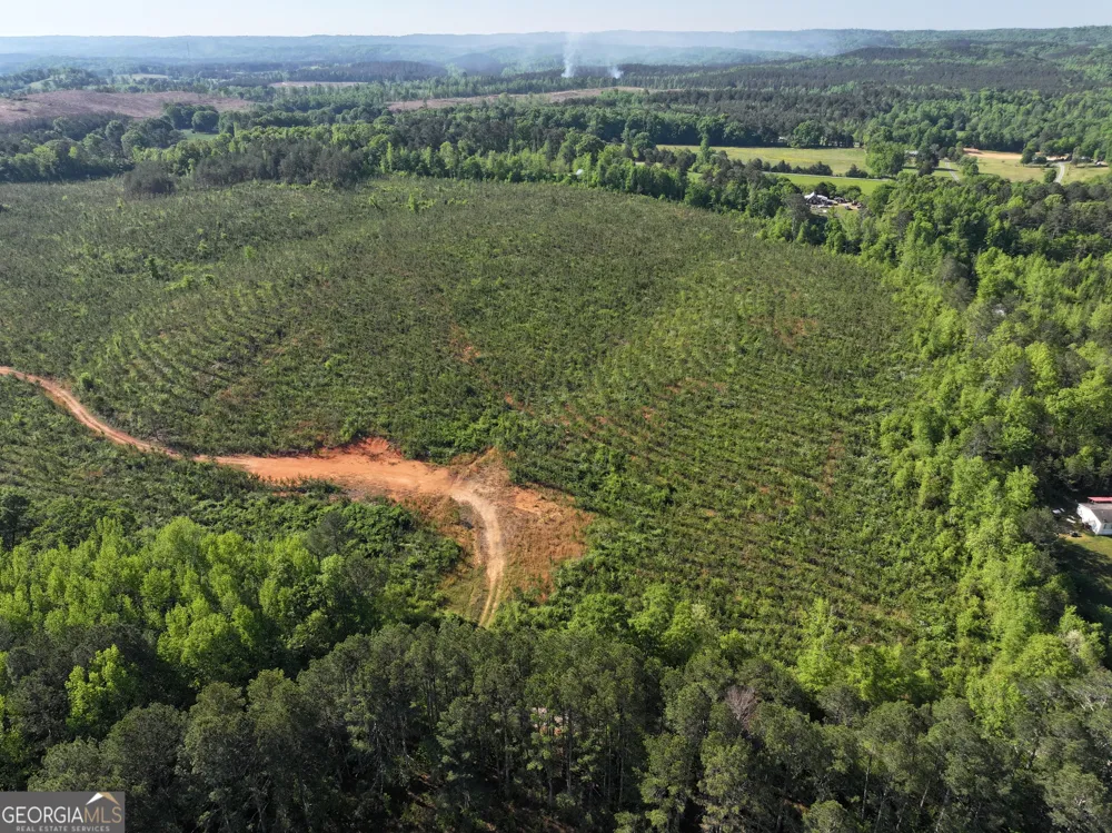 118 +/- Acres on Lumpkin RD Cedartown, GA 30125