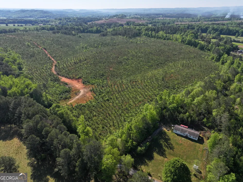 118 +/- Acres on Lumpkin RD Cedartown, GA 30125