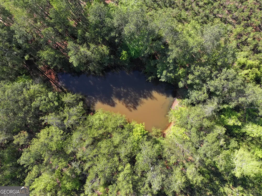 118 +/- Acres on Lumpkin RD Cedartown, GA 30125