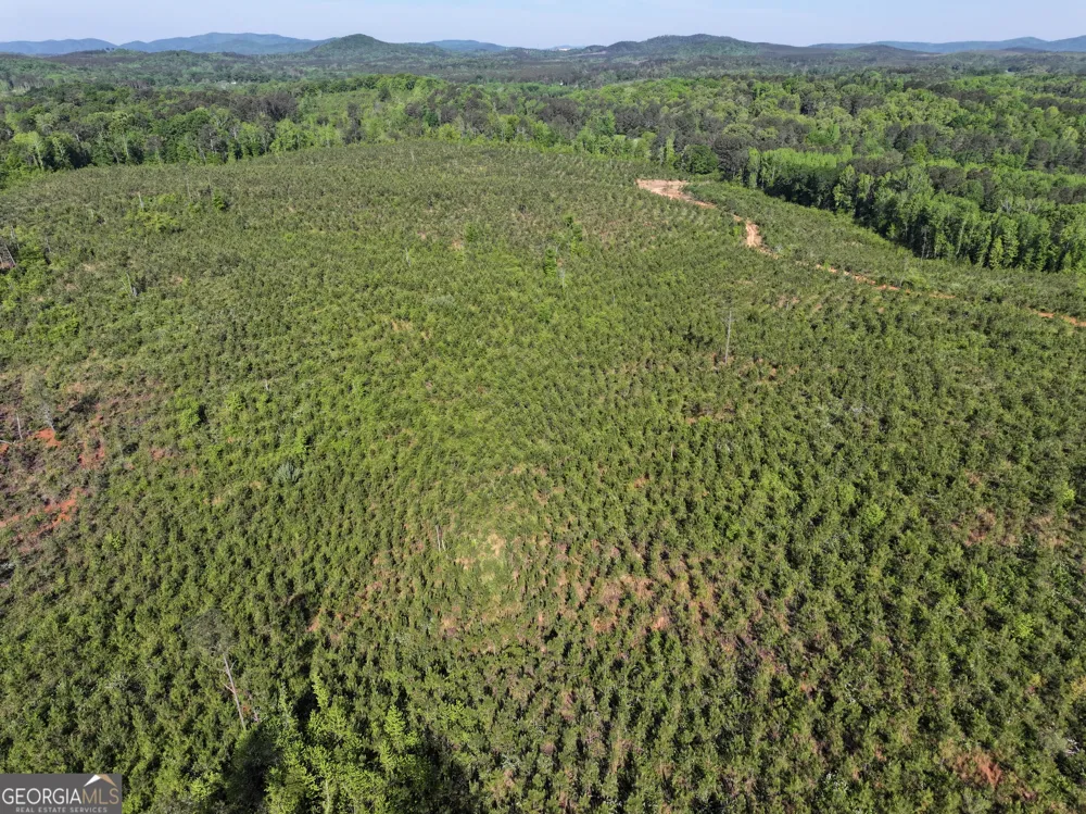 118 +/- Acres on Lumpkin RD Cedartown, GA 30125