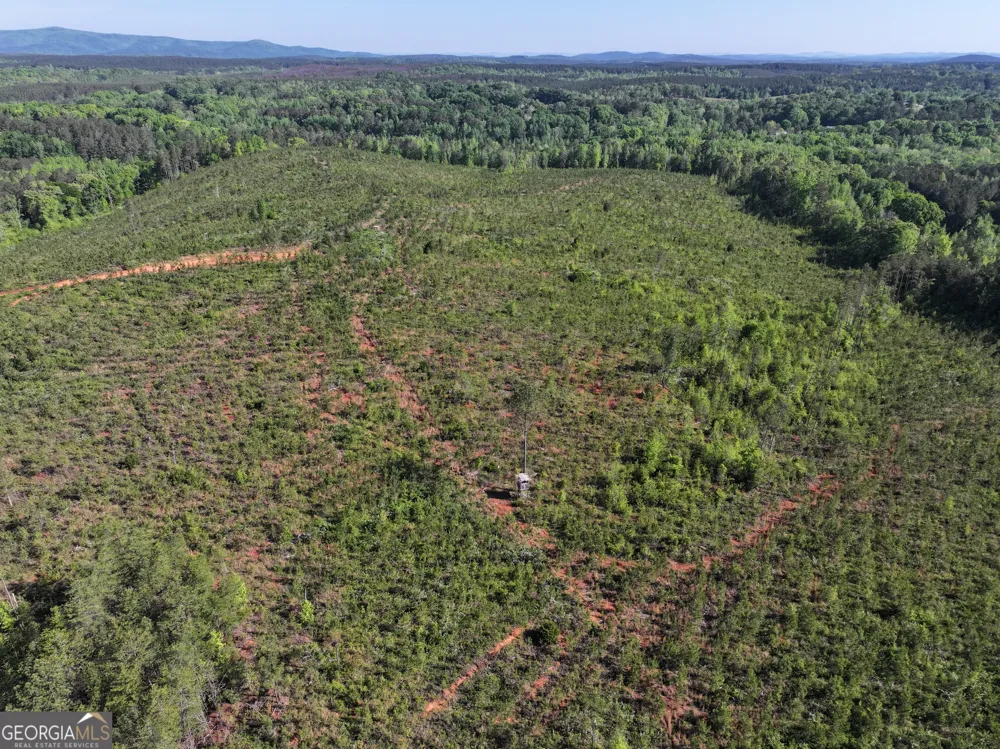 118 +/- Acres on Lumpkin RD Cedartown, GA 30125