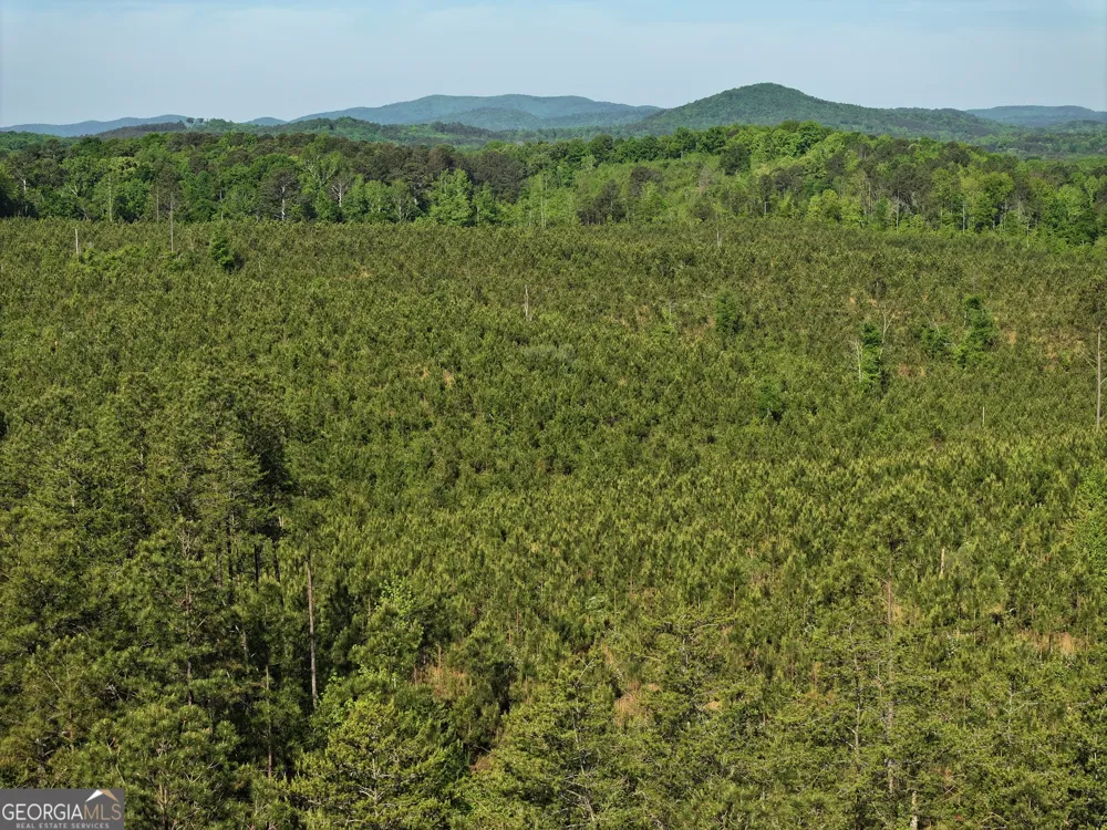 118 +/- Acres on Lumpkin RD Cedartown, GA 30125