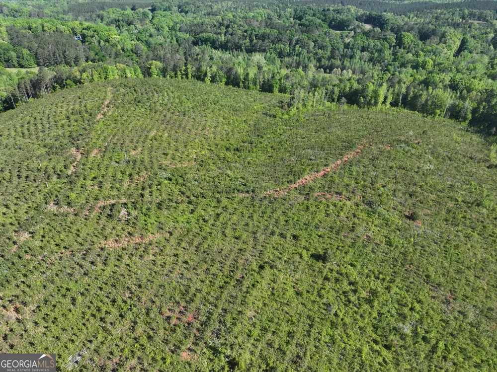 118 +/- Acres on Lumpkin RD Cedartown, GA 30125