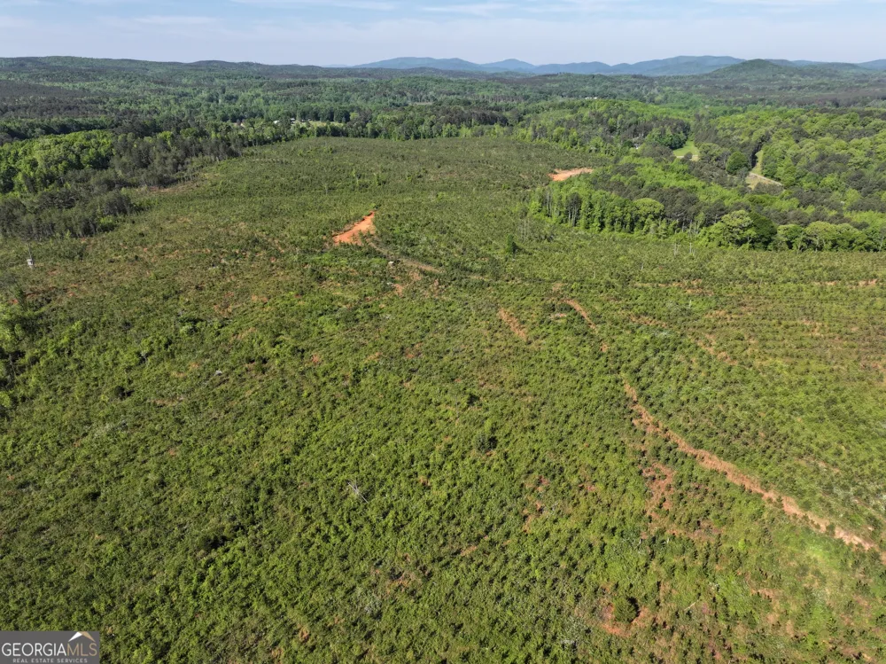 118 +/- Acres on Lumpkin RD Cedartown, GA 30125