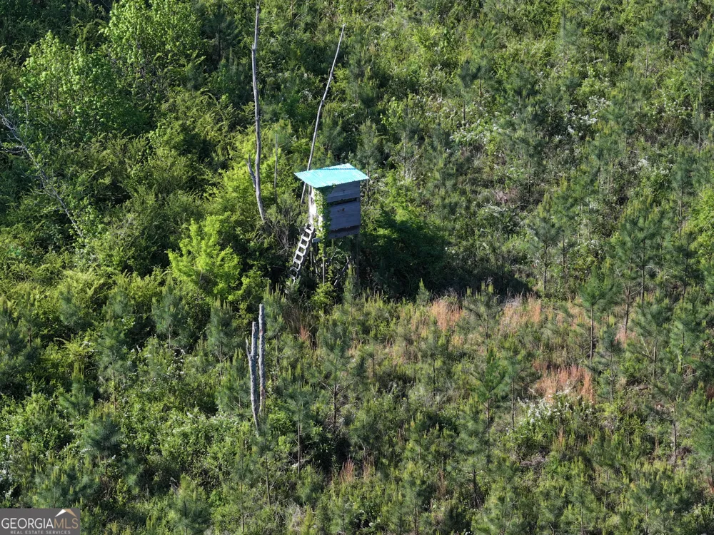 118 +/- Acres on Lumpkin RD Cedartown, GA 30125