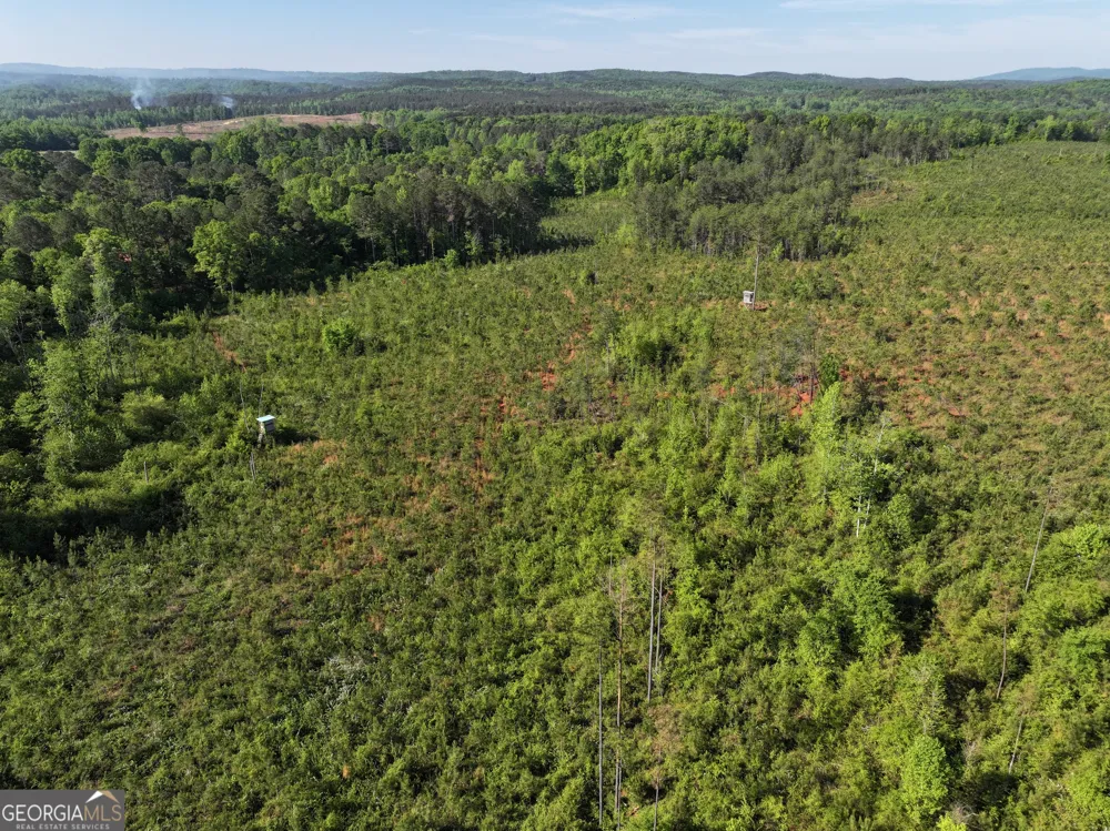 118 +/- Acres on Lumpkin RD Cedartown, GA 30125