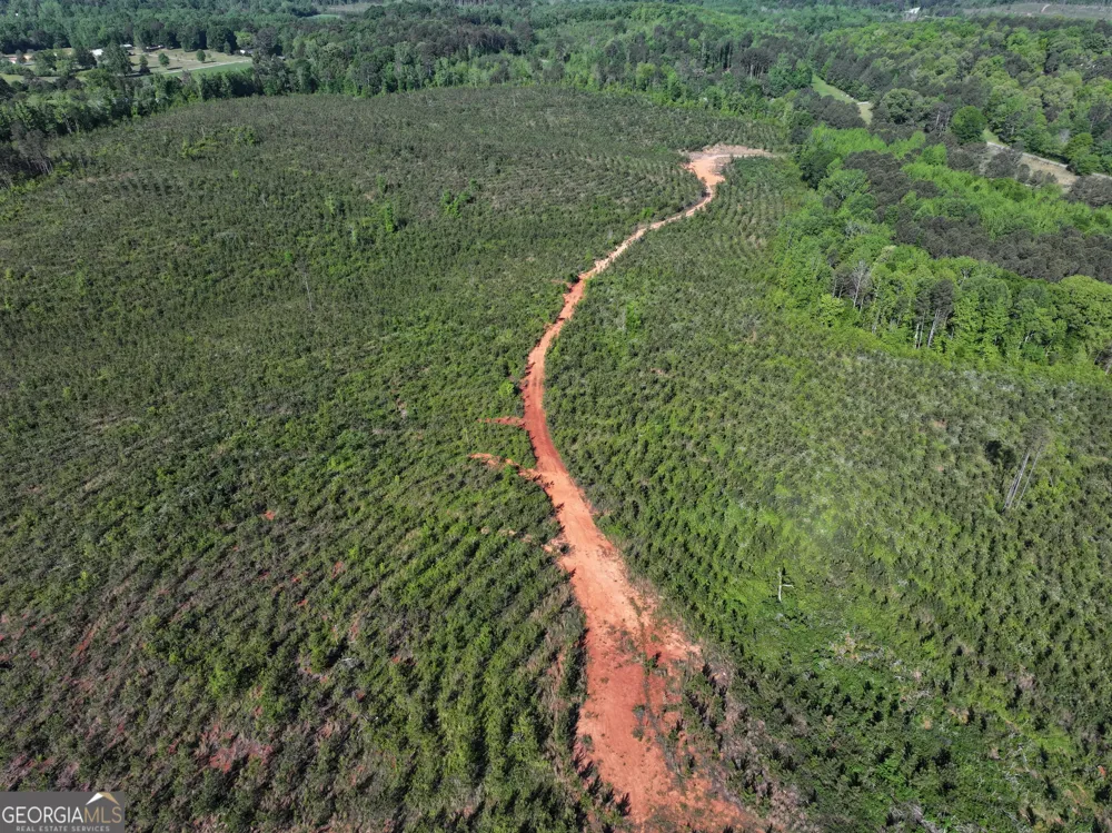 118 +/- Acres on Lumpkin RD Cedartown, GA 30125