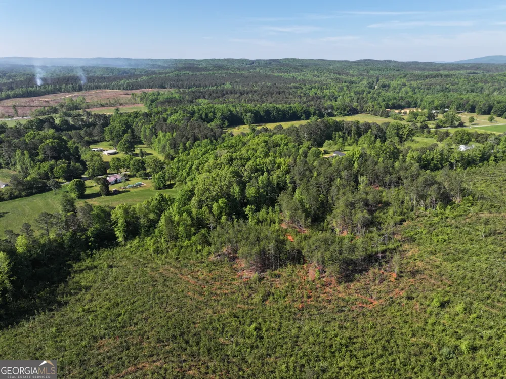 118 +/- Acres on Lumpkin RD Cedartown, GA 30125
