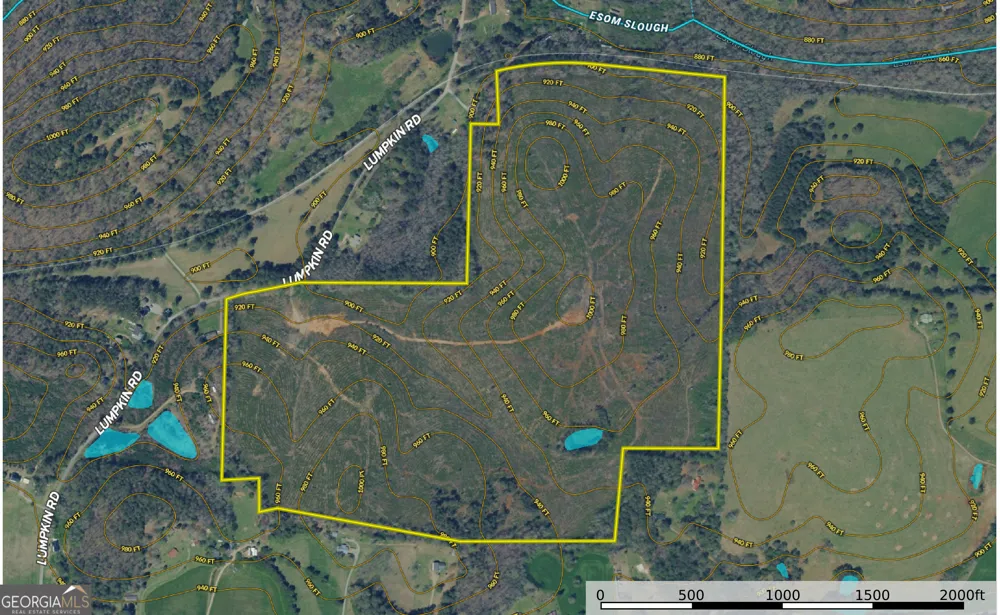 118 +/- Acres on Lumpkin RD Cedartown, GA 30125