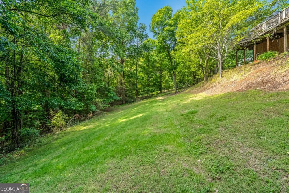 411 Overlook WAY Cohutta, GA 30710