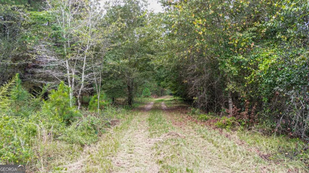 0 Willow Creek DR Oglethorpe, GA 31068