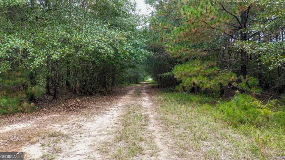 0 Willow Creek DR Oglethorpe, GA 31068