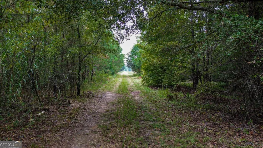 0 Willow Creek DR Oglethorpe, GA 31068