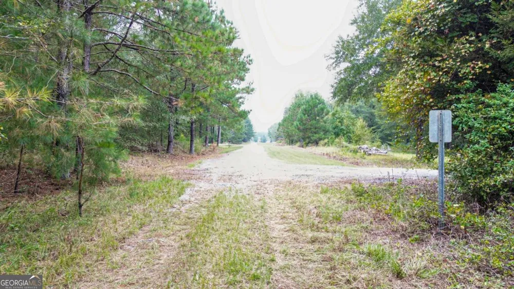 0 Willow Creek DR Oglethorpe, GA 31068