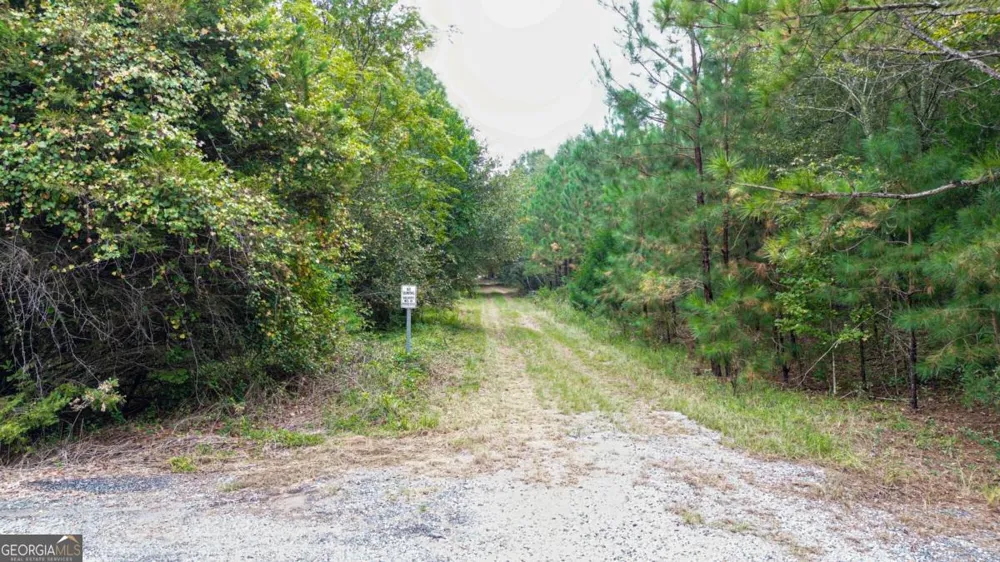 0 Willow Creek DR Oglethorpe, GA 31068