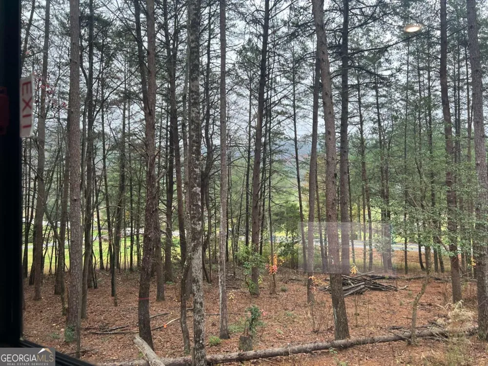 LOT 5 Morganton HWY Suches, GA 30572