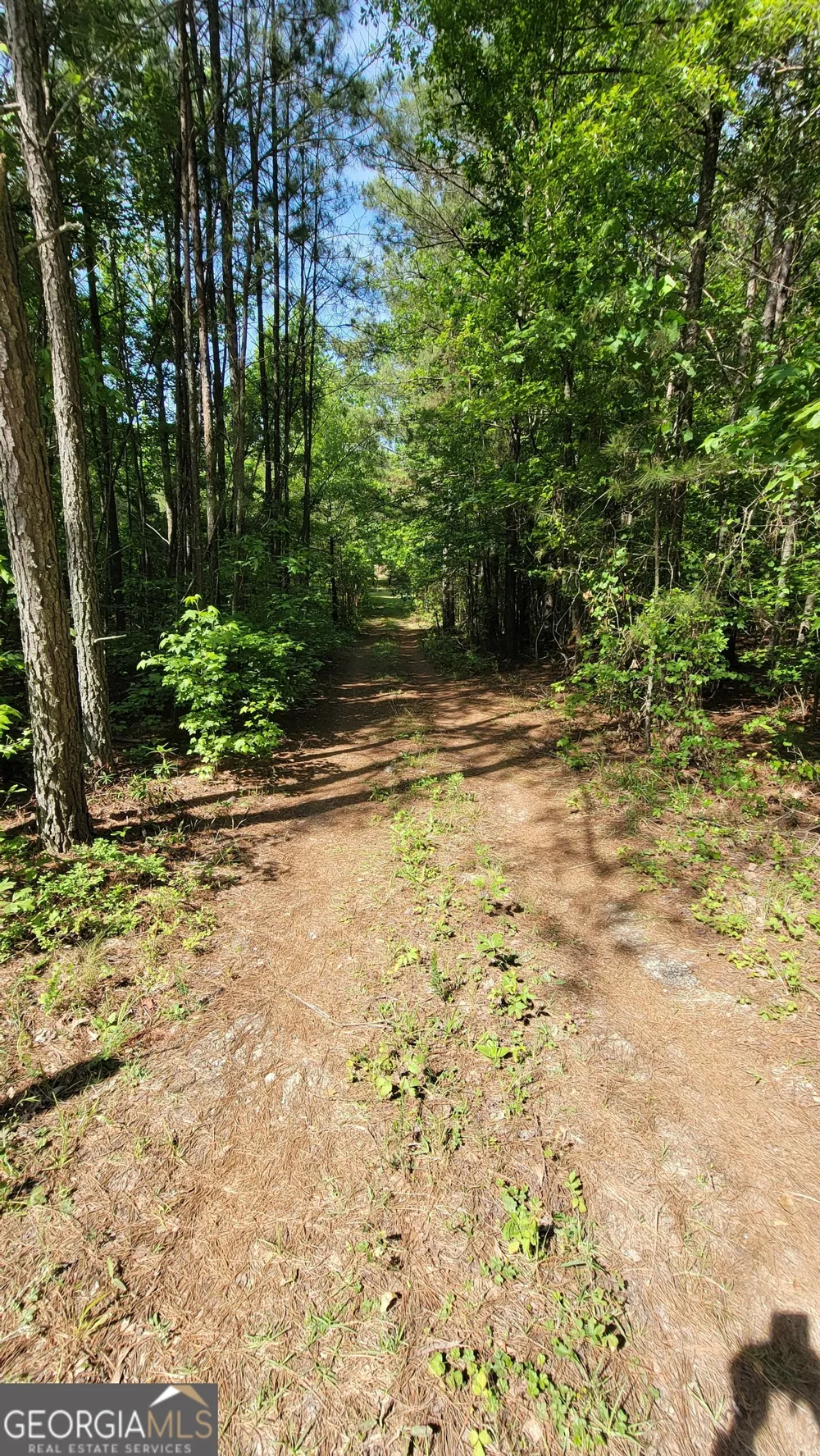 8235 WEST CARROLL RD Whitesburg, GA 30185