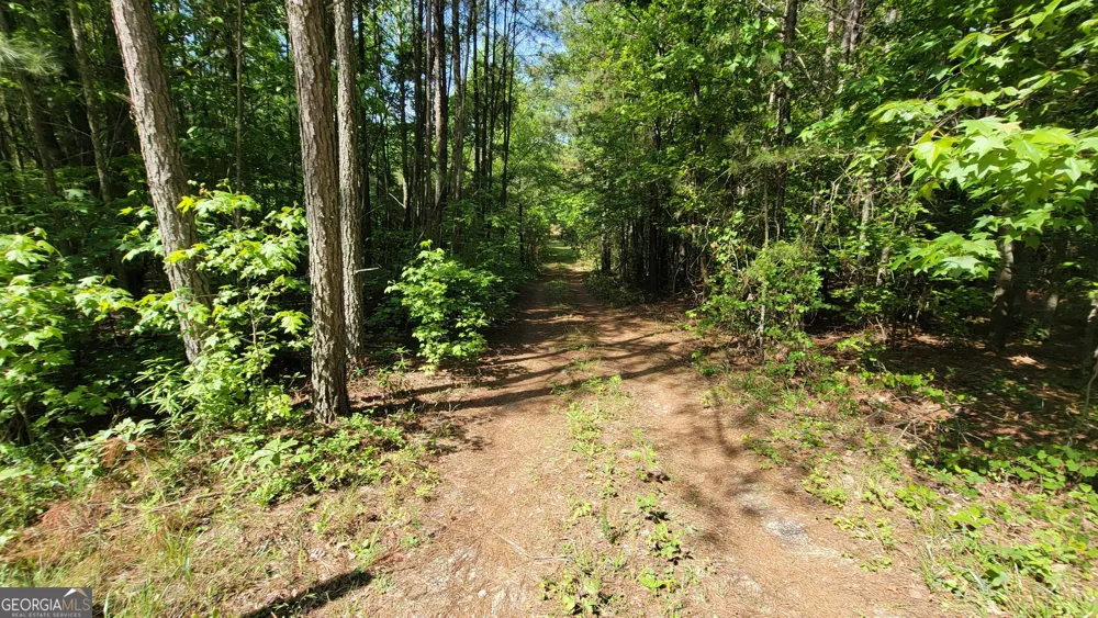 8235 WEST CARROLL RD Whitesburg, GA 30185