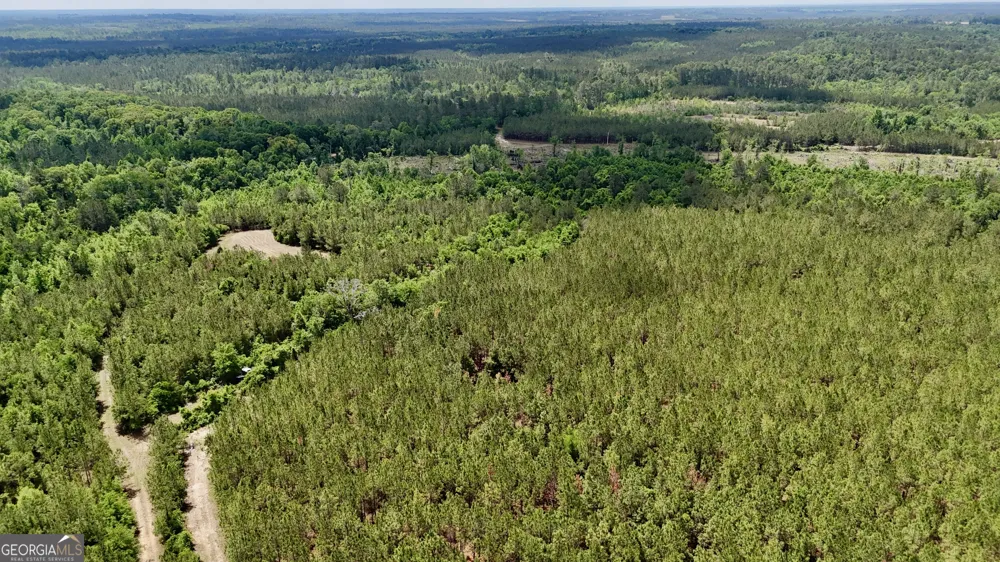 0 Neily Wagon RD Mcrae-Helena, GA 31055