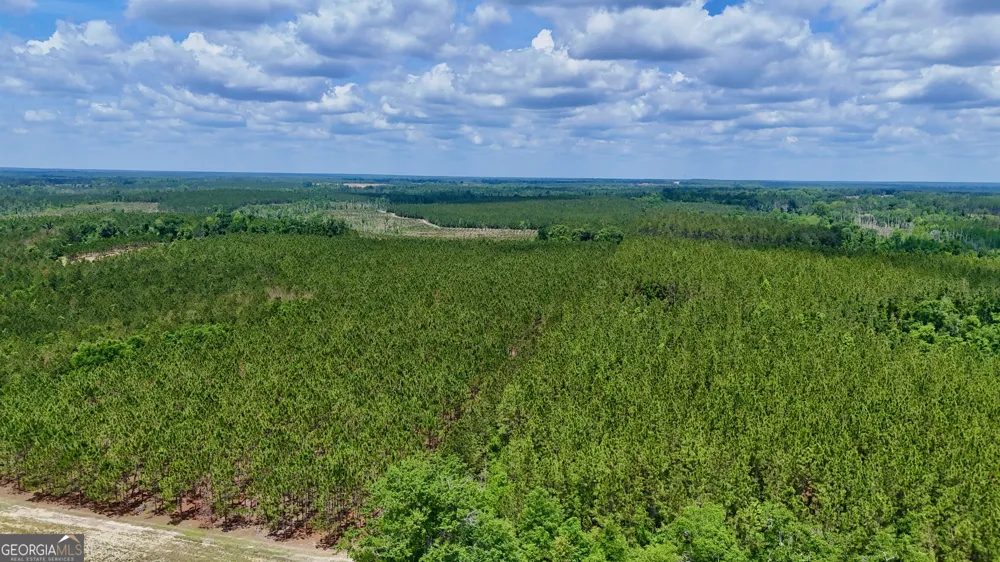 0 Neily Wagon RD Mcrae-Helena, GA 31055