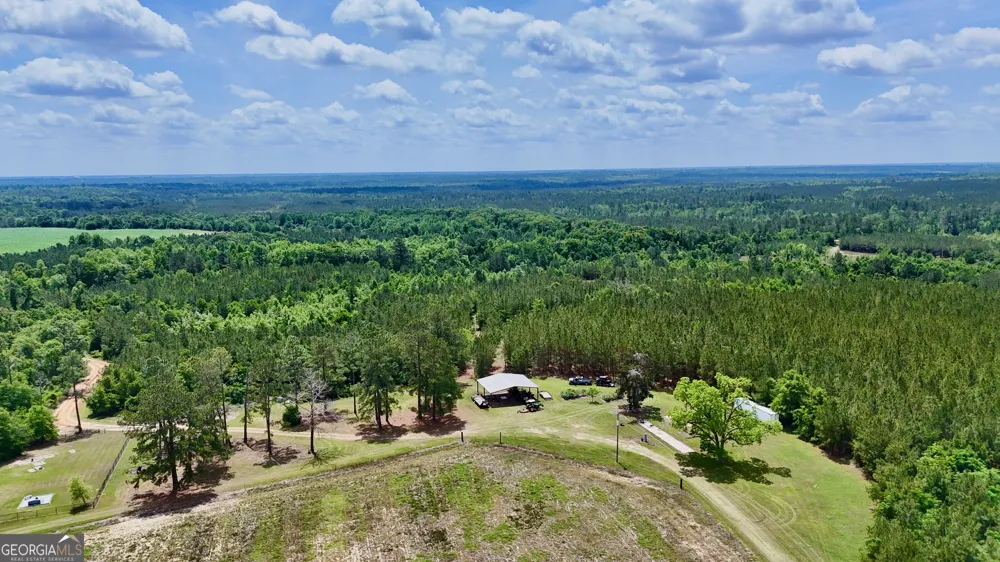 0 Neily Wagon RD Mcrae-Helena, GA 31055