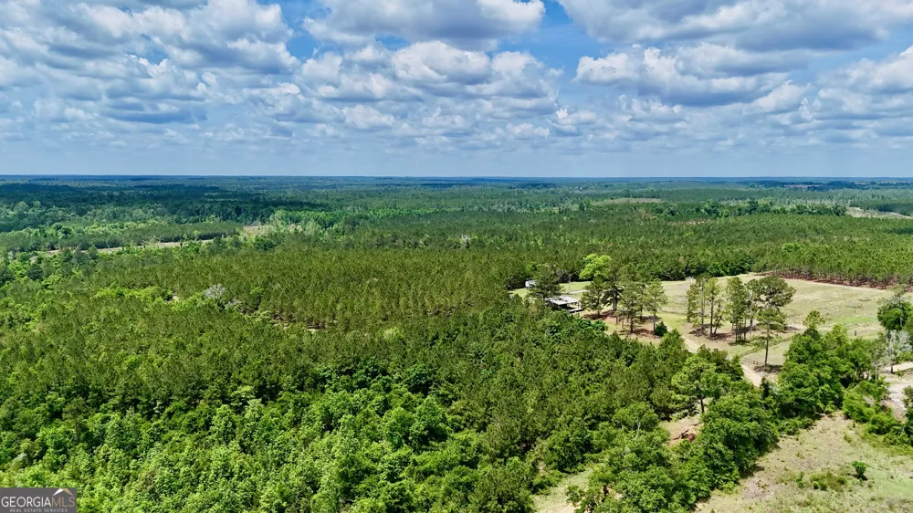 0 Neily Wagon RD Mcrae-Helena, GA 31055