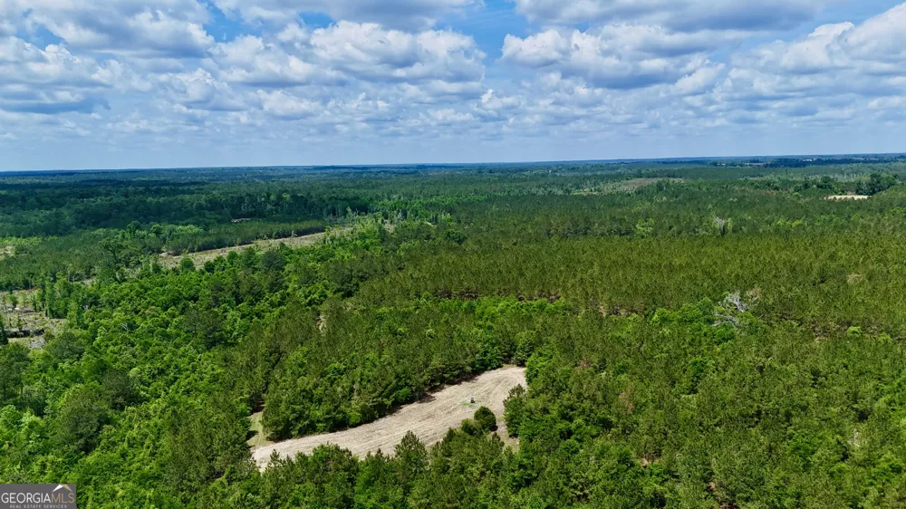 0 Neily Wagon RD Mcrae-Helena, GA 31055