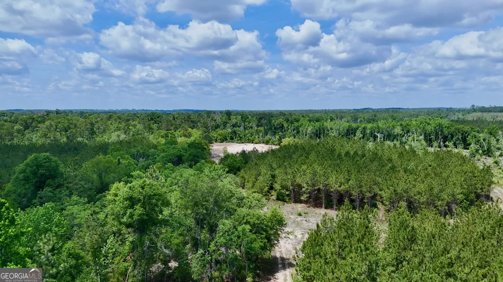 0 Neily Wagon RD Mcrae-Helena, GA 31055