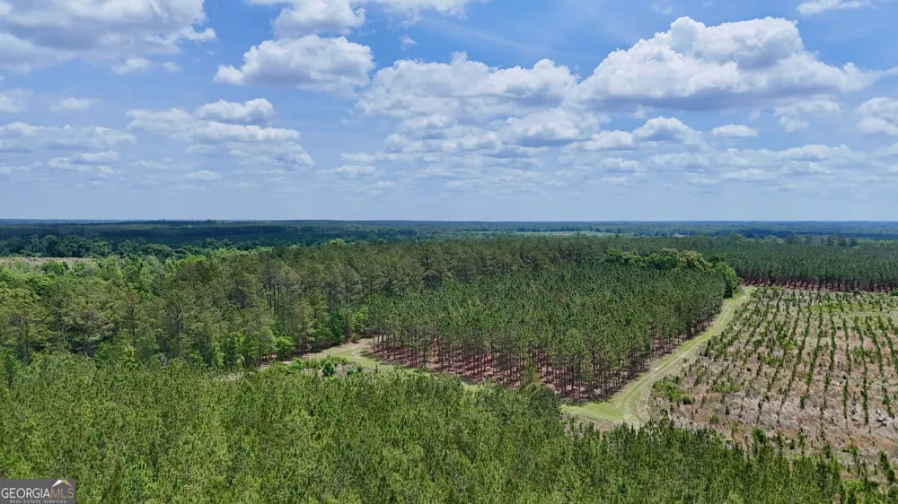 0 Neily Wagon RD Mcrae-Helena, GA 31055