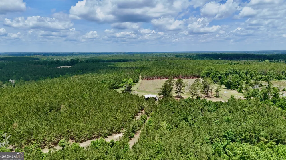 0 Neily Wagon RD Mcrae-Helena, GA 31055