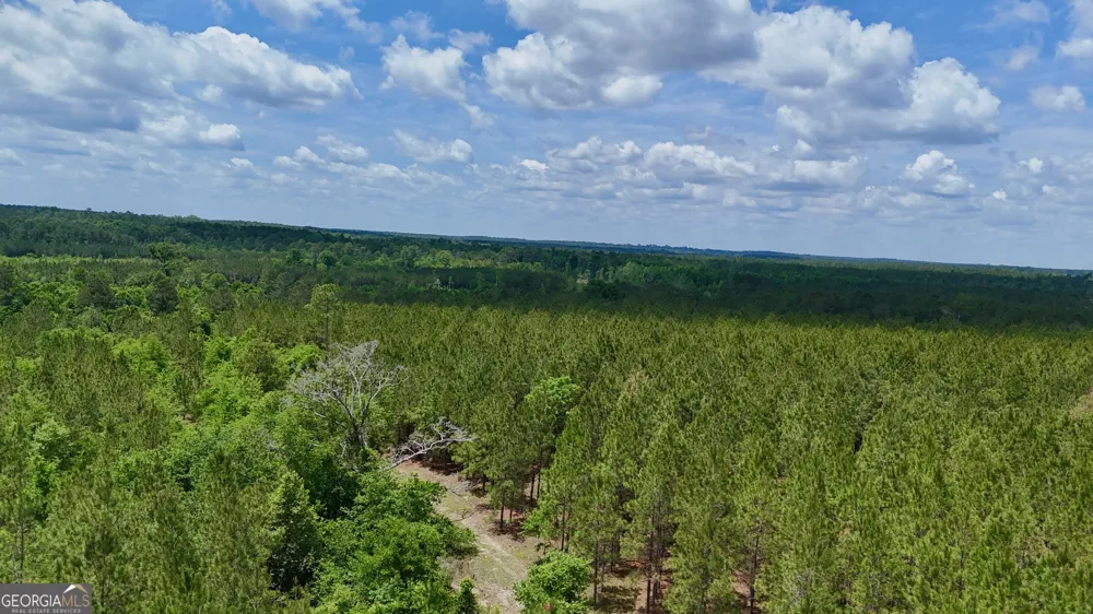 0 Neily Wagon RD Mcrae-Helena, GA 31055