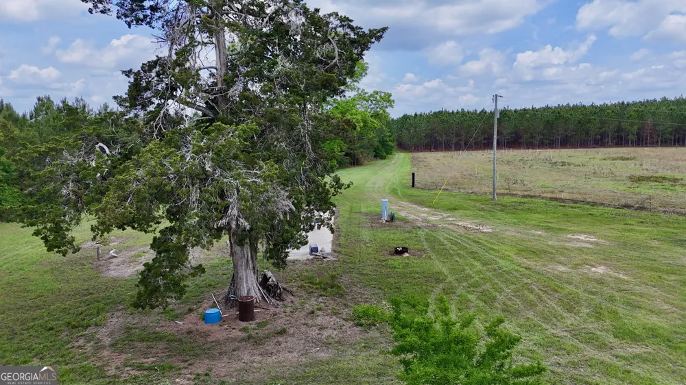 0 Neily Wagon RD Mcrae-Helena, GA 31055