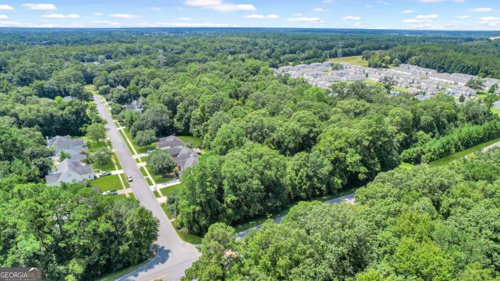9.73 AC Little Neck RD Savannah, GA 31419