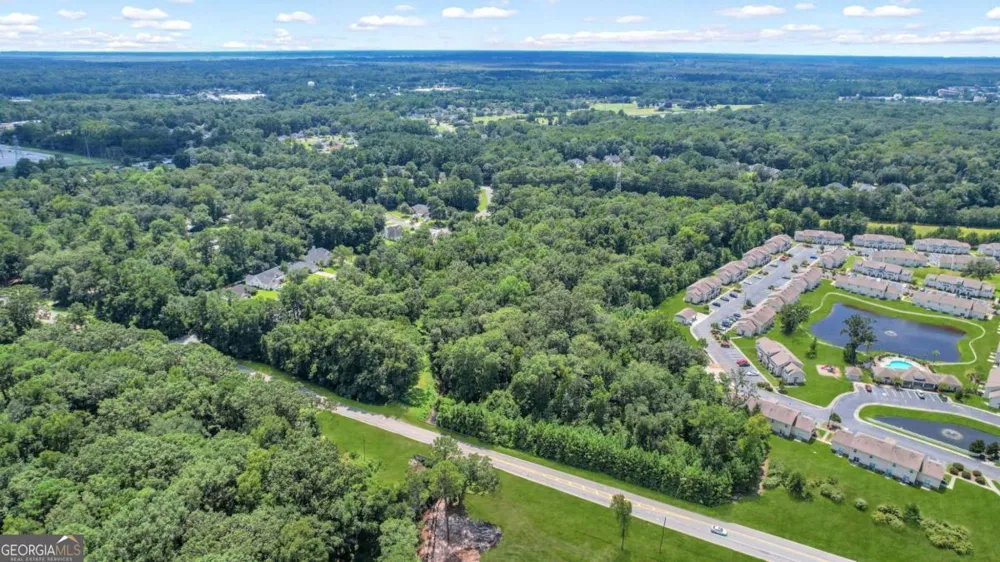 9.73 AC Little Neck RD Savannah, GA 31419