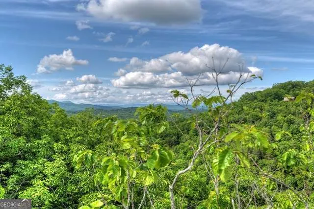 28.4 AC Black Dog TRL Blue Ridge, GA 30513