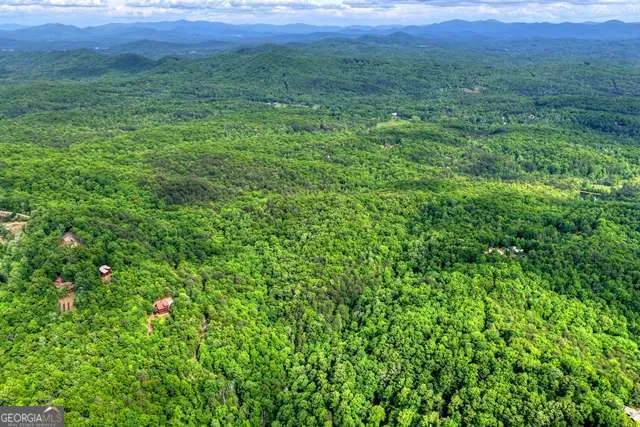 28.4 AC Black Dog TRL Blue Ridge, GA 30513