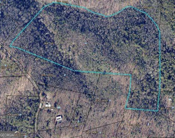 28.4 AC Black Dog TRL Blue Ridge, GA 30513