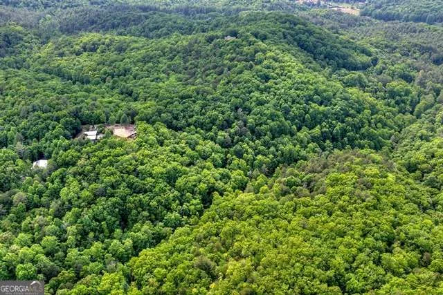 28.4 AC Black Dog TRL Blue Ridge, GA 30513
