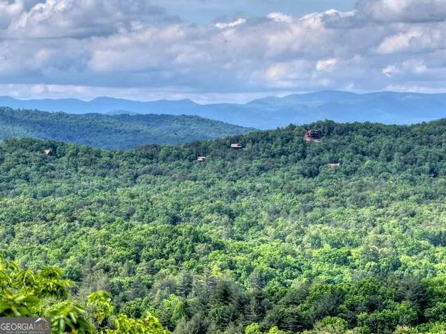 28.4 AC Black Dog TRL Blue Ridge, GA 30513
