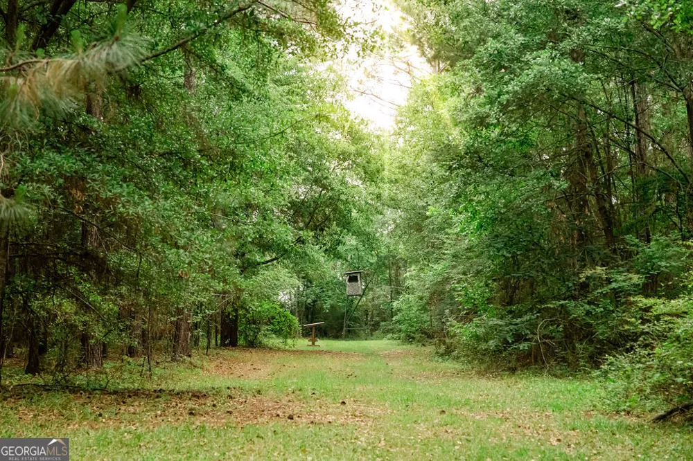 200 Mimosa LN Cairo, GA 39827