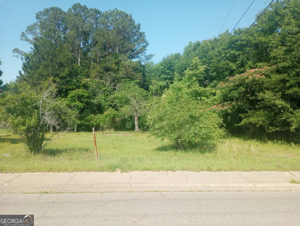 704 Mlk Jr AVE Sandersville, GA 31082