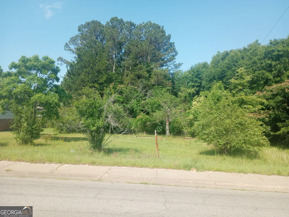 704 Mlk Jr AVE Sandersville, GA 31082